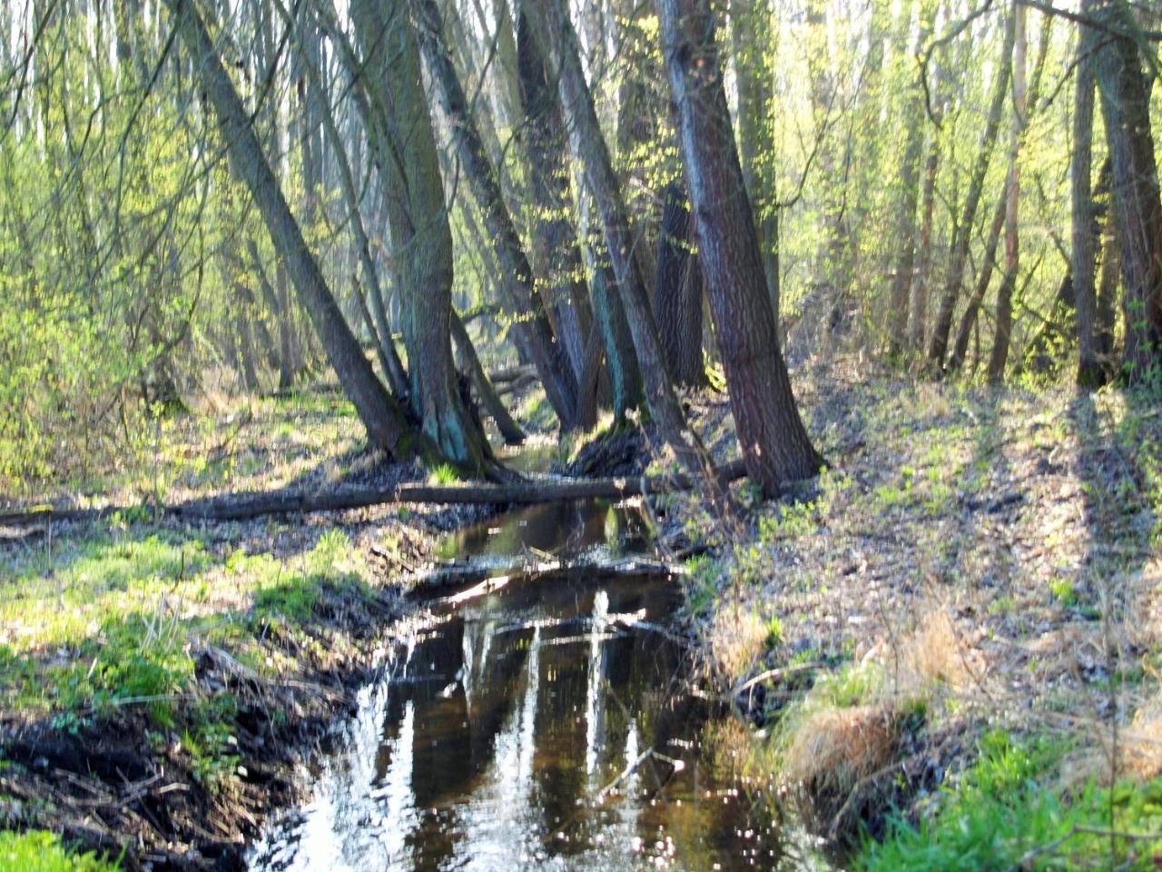 Altes Forsthaus Garzau公寓 外观 照片